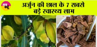 Arjuna Bark Benefits