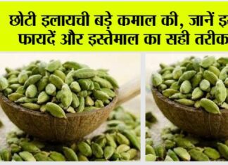 Cardamom Benefits