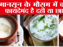 Curd Vs ButterMilk