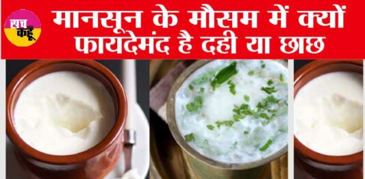 Curd Vs ButterMilk