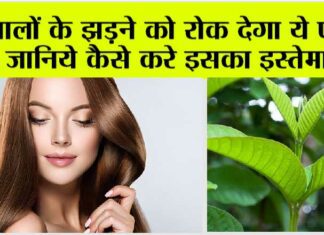 Hair Fall Home Remedy