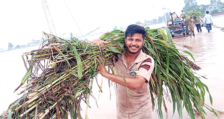 Punjab Floods