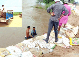 Rajasthan Flood