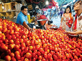 Tomato Price Hike