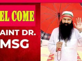 Saint Dr. MSG