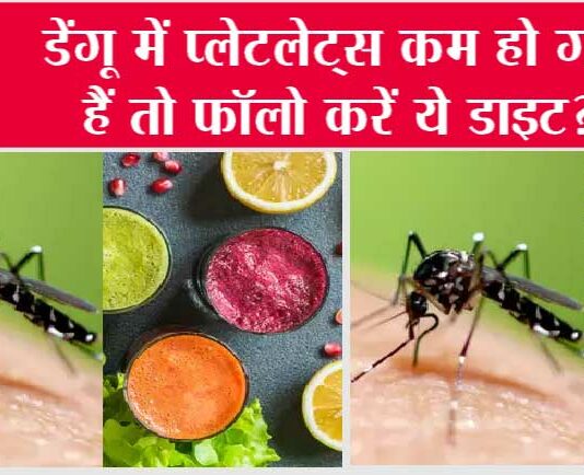 Dengue Diet