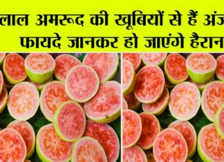 Guava Benefits