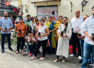 Tree Plantation in Gujarat