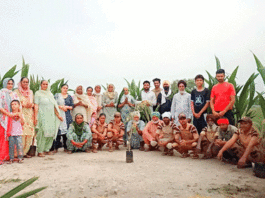 Tree Plantation in Hyderabad