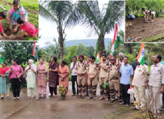 Tree Plantation in Maharashtra