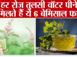 Tulsi Benefits