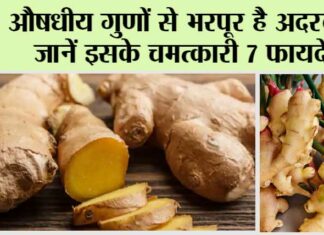 Ginger Benefits