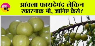 Amla Side Effects