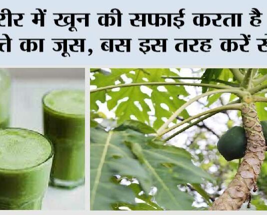 Papaya Leaf Juice Benefits