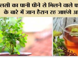 Tulsi Water Benefits