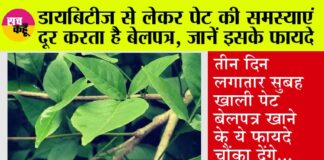 Bael Patra Benefits