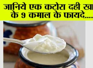 Benefits Of Eating Curd