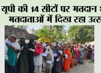 UP Lok Sabha Election