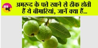 Guava leaves benefits