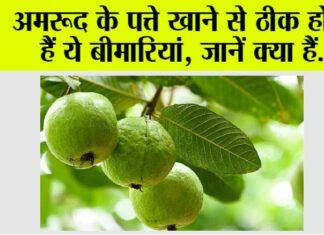 Guava leaves benefits
