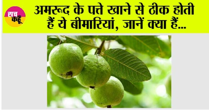 Guava leaves benefits