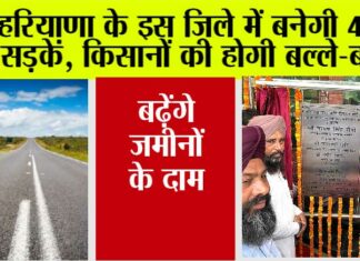 Haryana Road News