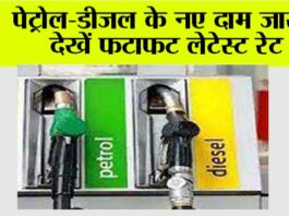 Petrol Diesel Price