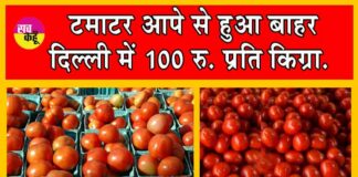 Tomato Price Hike