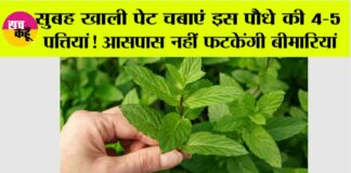 Benefits of Tulsi Leaves