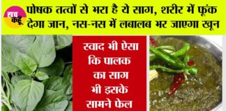 Chaulai Saag benefits