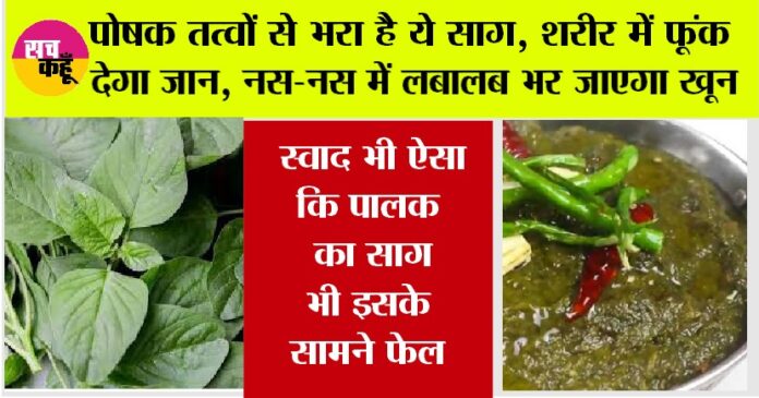 Chaulai Saag benefits