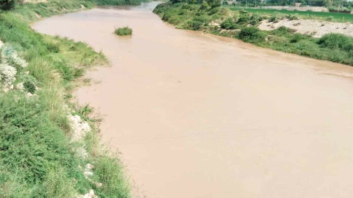 Ghaggar River