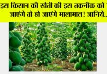 Kisan News