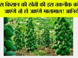 Kisan News