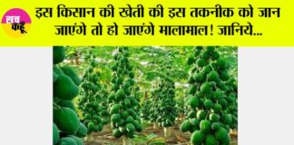 Kisan News