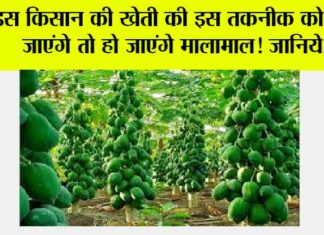 Kisan News