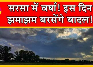 Sirsa Weather Update