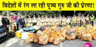 Cleaning Campaign