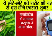 Neem Leaves Amazing Benefits