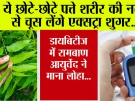 Neem Leaves Amazing Benefits