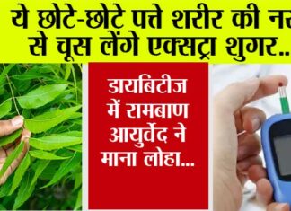 Neem Leaves Amazing Benefits