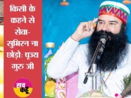 Saint Dr. MSG