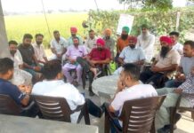 Barnala News