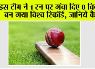 Cricket News