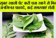 Curry Leaves Benefits