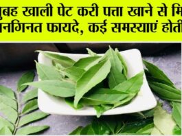 Curry Leaves Benefits