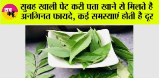 Curry Leaves Benefits