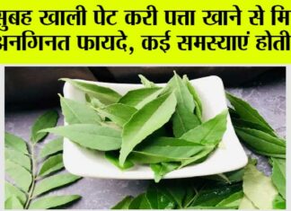 Curry Leaves Benefits