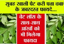 Curry Leaves Benefits