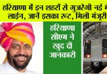 Haryana Metro News